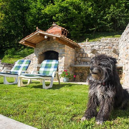 Villa Sirotnjak لوفغان المظهر الخارجي الصورة
