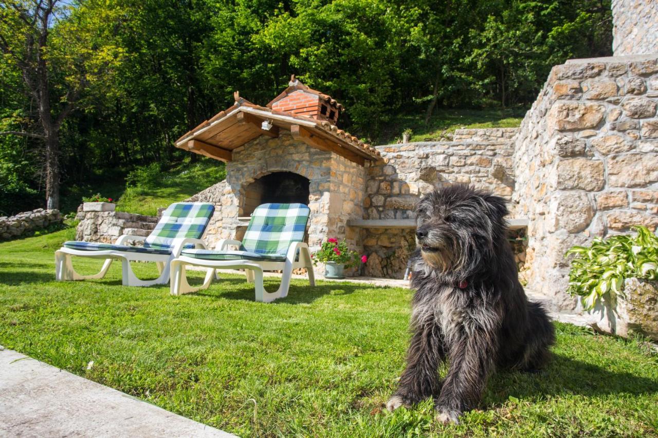 Villa Sirotnjak لوفغان المظهر الخارجي الصورة